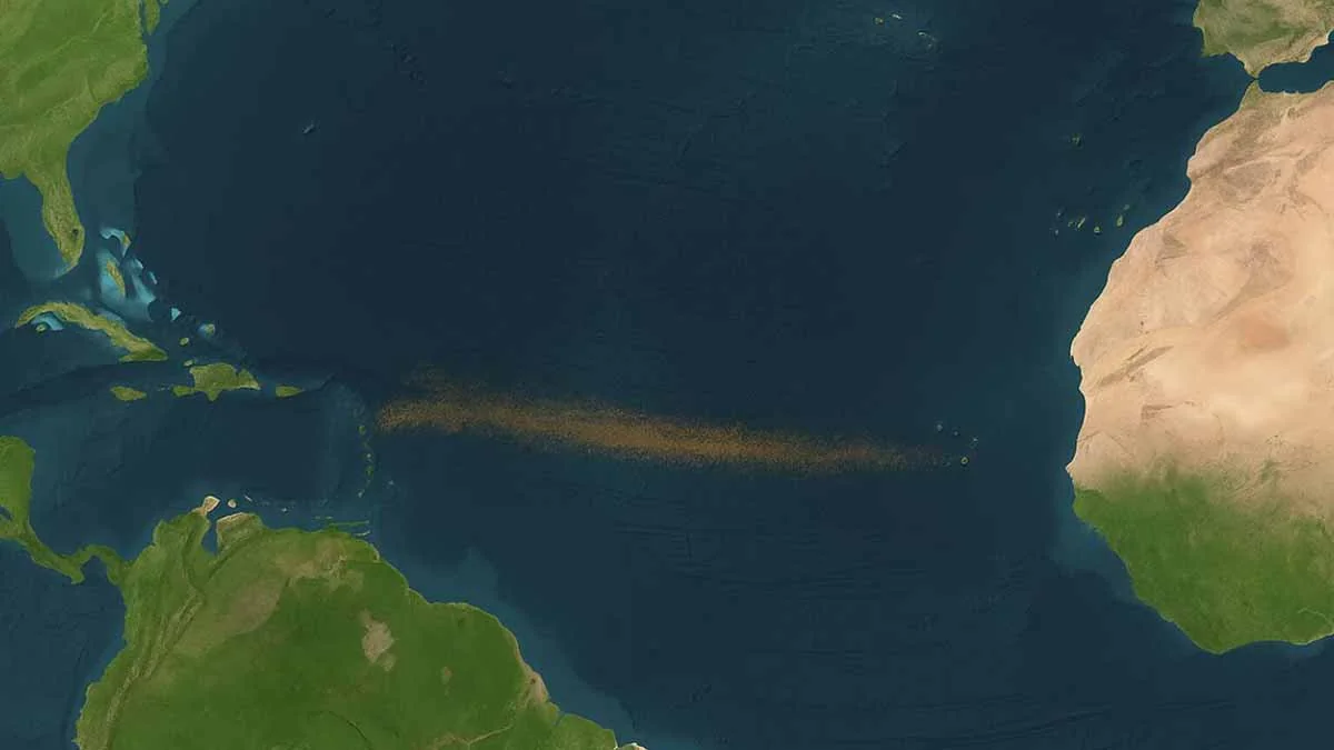 A huge brown ribbon as vast as a continent has formed between the Atlantic and Africa… and it’s not a good sign